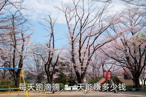 每天跑滴滴，一天能賺多少錢