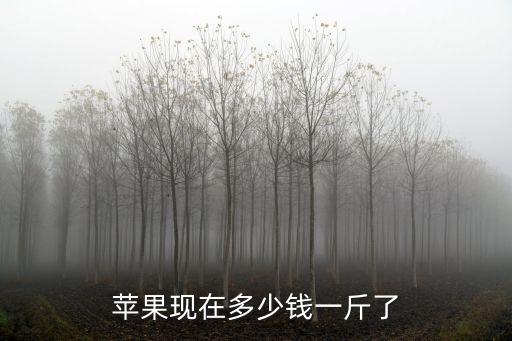 漯河蘋果批發價格多少,今年的蘋果價格怎么樣