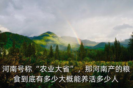 河南號稱“農業大省”，那河南產的糧食到底有多少大概能養活多少人
