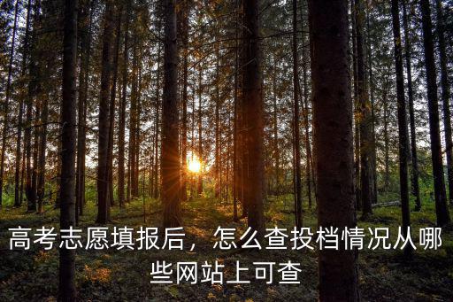 高考志愿填報后，怎么查投檔情況從哪些網站上可查