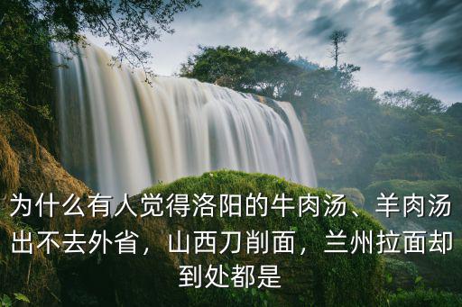 洛陽原汁牛肉湯怎么樣,洛陽哪里的牛肉湯比較好喝