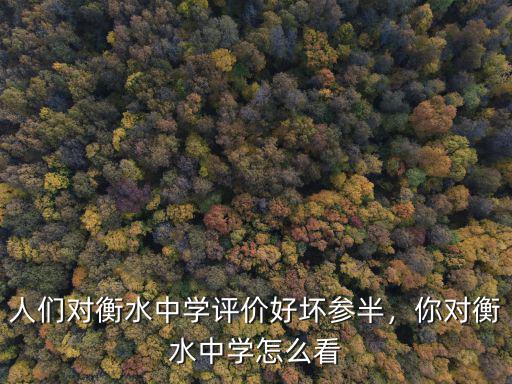 人們對(duì)衡水中學(xué)評(píng)價(jià)好壞參半，你對(duì)衡水中學(xué)怎么看