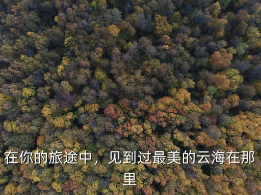 四川的云海在哪里,在你的旅途中