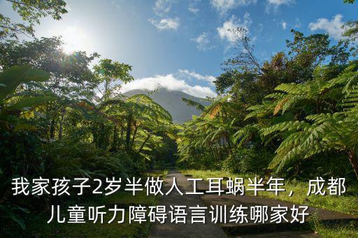 我家孩子2歲半做人工耳蝸半年，成都兒童聽力障礙語言訓練哪家好