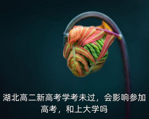 湖北高二新高考學(xué)考未過，會(huì)影響參加高考，和上大學(xué)嗎