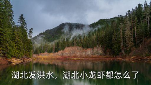 湖北隨縣洪水怎么樣了,湖北隨州怎么樣