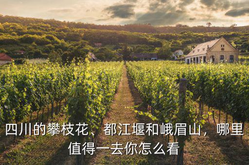 攀枝花哪里的景點,四川的攀枝花