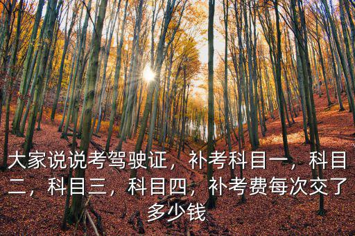 大家說說考駕駛證，補考科目一，科目二，科目三，科目四，補考費每次交了多少錢