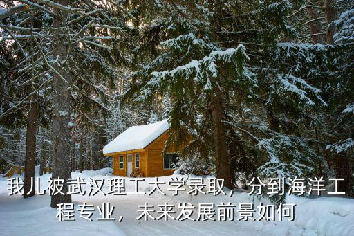 武漢理工大學(xué)海乘專業(yè)怎么樣,不知道專業(yè)怎么樣