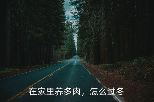 在家里養多肉，怎么過冬