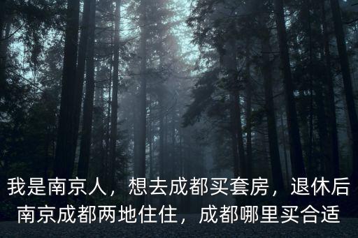 成都哪里有賣南京金陵,成都哪里買合適