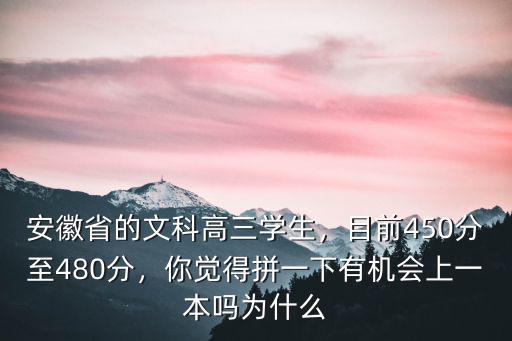 安徽省的文科高三學生，目前450分至480分，你覺得拼一下有機會上一本嗎為什么