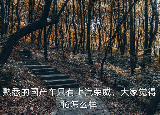 鄭州榮威i6怎么樣,榮威i6質(zhì)量怎么樣