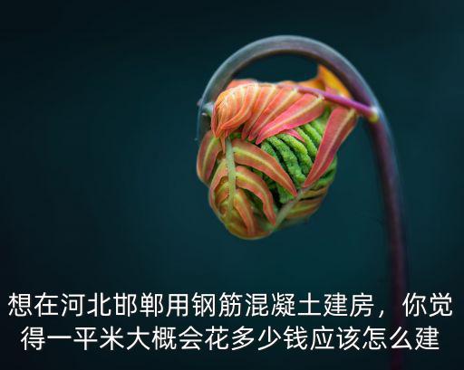 想在河北邯鄲用鋼筋混凝土建房，你覺得一平米大概會花多少錢應該怎么建