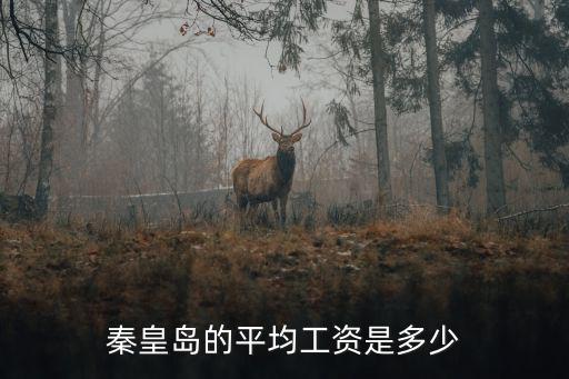 秦皇島的平均工資是多少