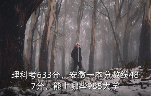 安徽高考考多少分能上985,安徽文科生多少分能上985