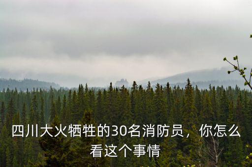 四川大火犧牲的30名消防員，你怎么看這個(gè)事情