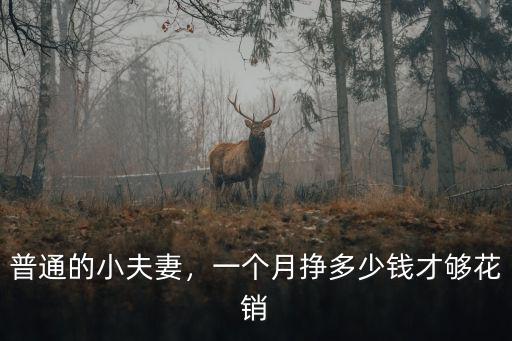 普通的小夫妻，一個月掙多少錢才夠花銷