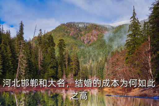 邯鄲大名王村彩禮多少,邯鄲大名娶媳婦彩禮多少錢