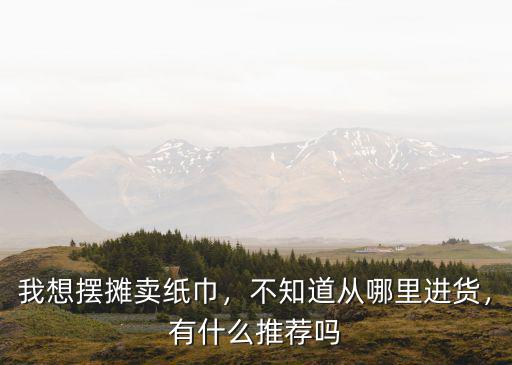 我想擺攤賣紙巾，不知道從哪里進貨，有什么推薦嗎