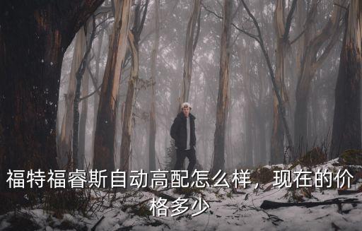 合肥福特福睿斯高配落地多少錢,福睿斯自動高配落地多少錢