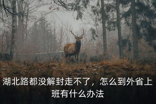 湖北省不解封怎么去上班,怎么到外省上班
