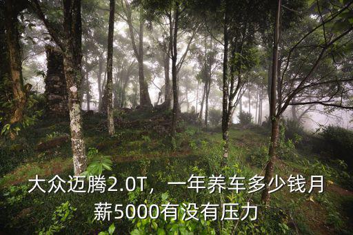 在宣城邁騰保養一次多少錢,一年養車多少錢