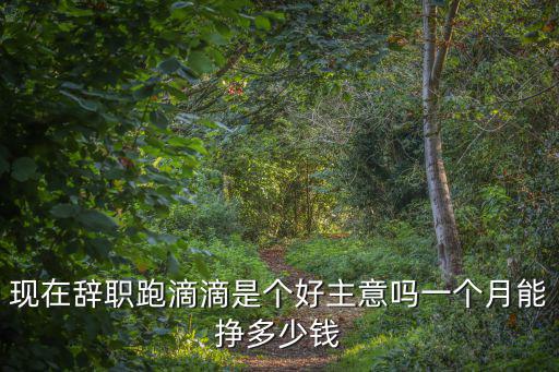 合肥現在跑滴滴一個月掙多少,現在辭職跑滴滴是個好主意嗎