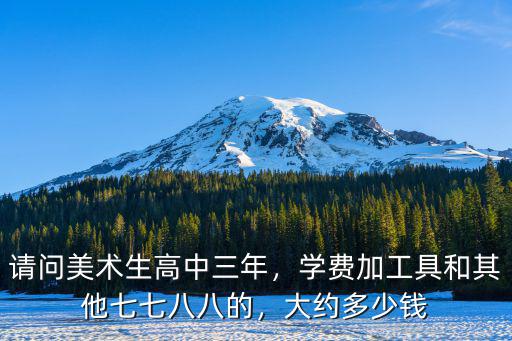 請問美術(shù)生高中三年，學(xué)費(fèi)加工具和其他七七八八的，大約多少錢