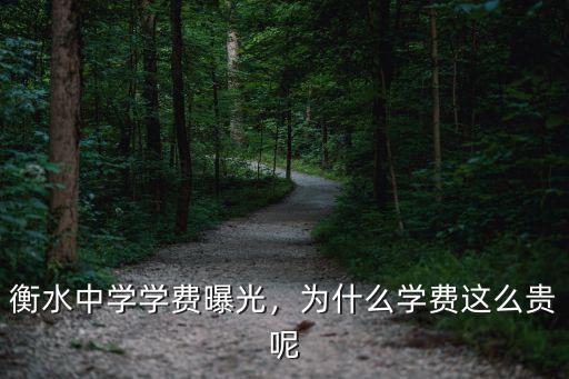 衡水一中招生條件 學費一般是多少錢,衡水一中復讀學費是多少錢