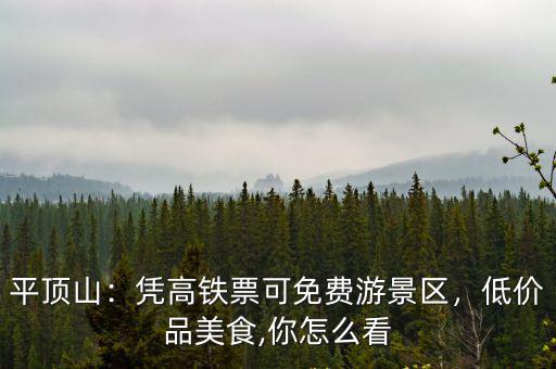 平頂山哪里有高鐵票售賣點,平頂山現在有高鐵嗎