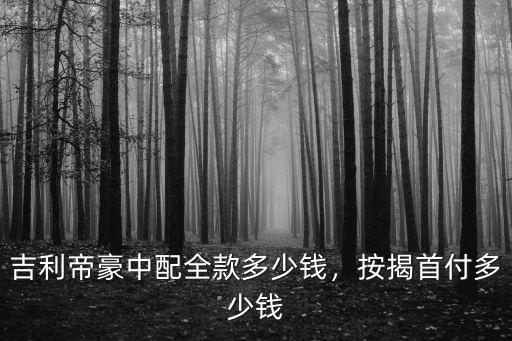 合肥帝豪電話是多少錢,按揭首付多少錢
