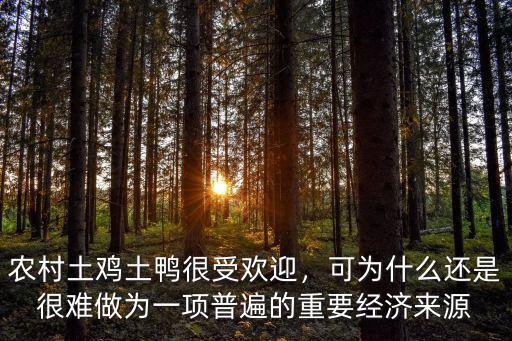 瀘州哪里有收土雞土鴨的,農(nóng)村土雞土鴨很受歡迎