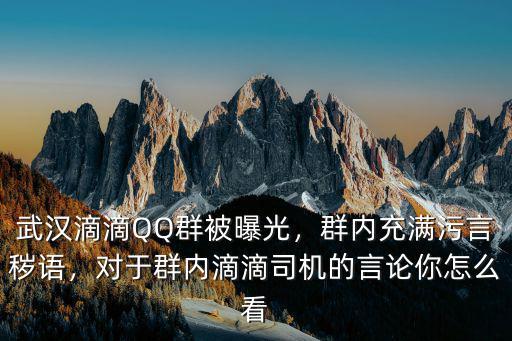武漢滴滴QQ群被曝光，群內(nèi)充滿污言穢語，對于群內(nèi)滴滴司機(jī)的言論你怎么看