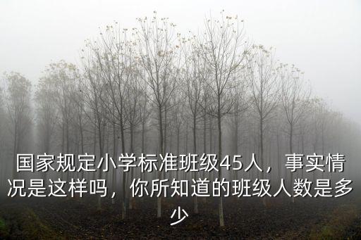 河北小學一個班標準多少人,國家規定小學標準班級45人