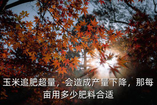玉米需要多少配比的復合肥,玉米復合肥的最佳比例