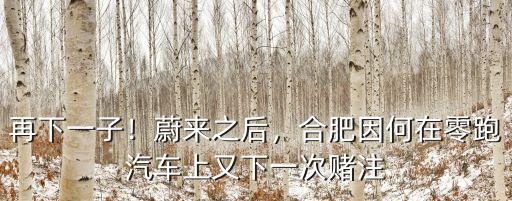 再下一子！蔚來之后，合肥因何在零跑汽車上又下一次賭注