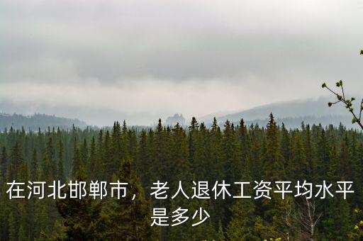 河北省邯鄲市退休工資多少,老人退休工資平均水平是多少