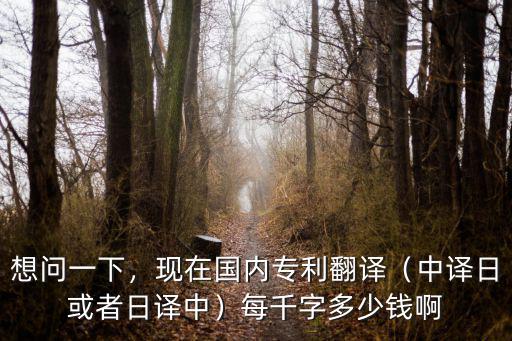 合肥專利翻譯多少錢,現在國內專利翻譯