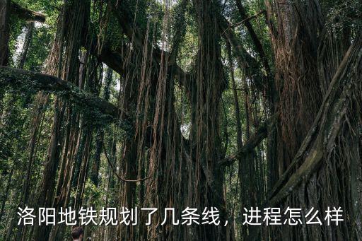 洛陽地鐵武漢路站建的怎么樣,洛陽適合建地鐵嗎