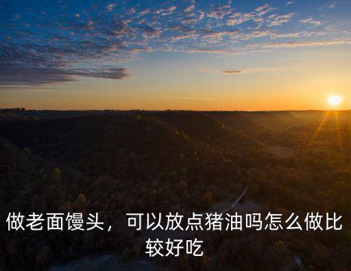 做老面饅頭，可以放點豬油嗎怎么做比較好吃