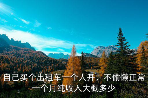 合肥出租車一個月收費多少,合肥的出租車30萬能買嗎