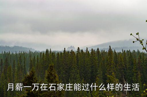 在石家莊買套房月薪多少,在石家莊月收入多少可以買房
