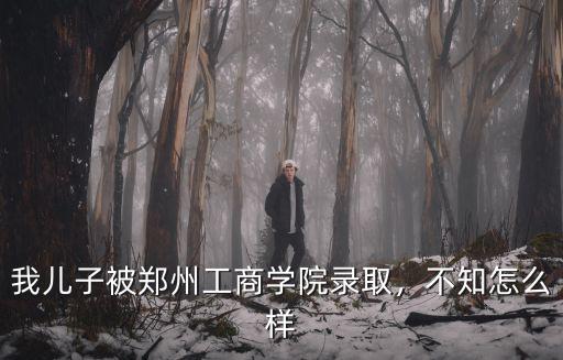 鄭州工商學院在校學生多少人,鄭州工商學院怎么樣