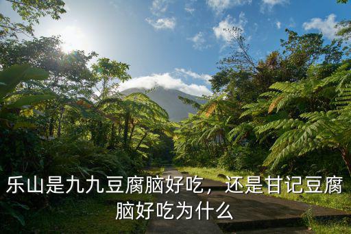 樂山哪里有賣豆腐腦,樂山是九九豆腐腦好吃