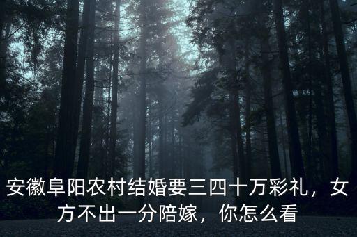 安徽阜陽(yáng)農(nóng)村結(jié)婚要三四十萬(wàn)彩禮，女方不出一分陪嫁，你怎么看