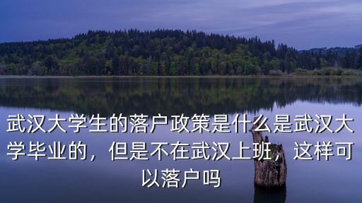 武漢大學畢業生落戶戶口怎么選擇,大學生怎么能落戶武漢