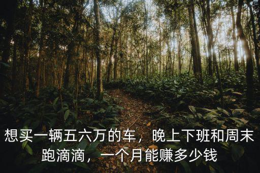 淮南跑滴滴一個月能賺多少錢,一個月能賺多少錢