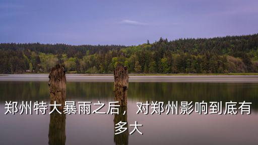 鄭州遭遇特大暴雨排到哪里,鄭州特大暴雨之后