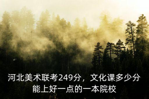 河北美術聯考249分，文化課多少分能上好一點的一本院校